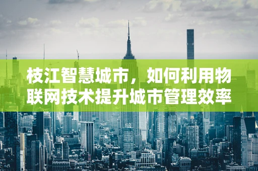 枝江智慧城市，如何利用物联网技术提升城市管理效率？