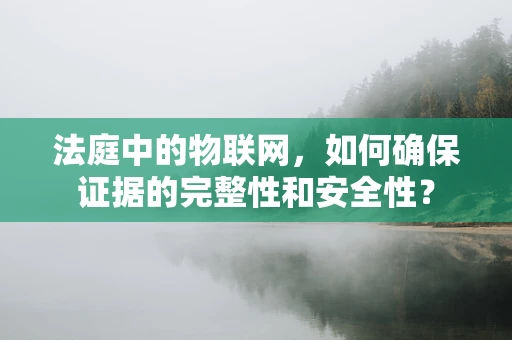 法庭中的物联网，如何确保证据的完整性和安全性？