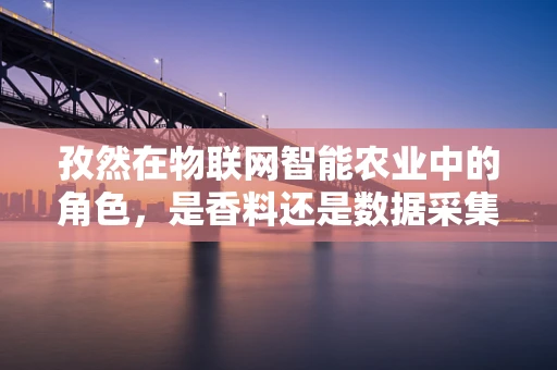 孜然在物联网智能农业中的角色，是香料还是数据采集器？