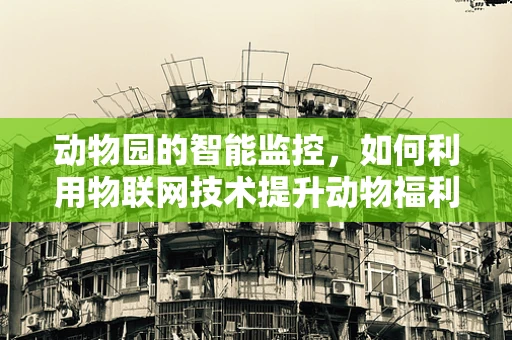 动物园的智能监控，如何利用物联网技术提升动物福利与安全管理？