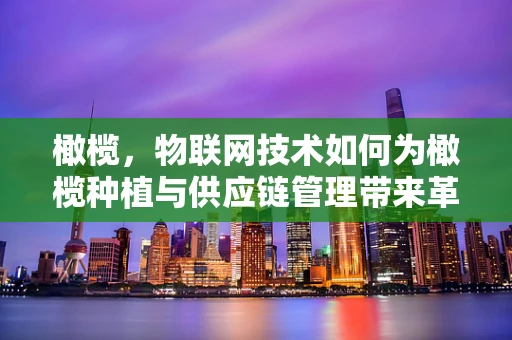 橄榄，物联网技术如何为橄榄种植与供应链管理带来革新？