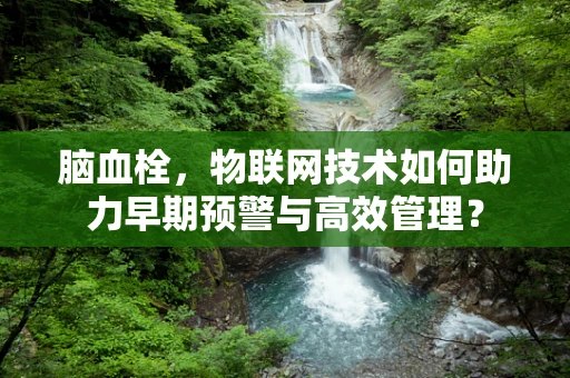 脑血栓，物联网技术如何助力早期预警与高效管理？