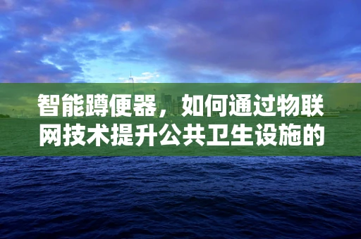 智能蹲便器，如何通过物联网技术提升公共卫生设施的体验与效率？