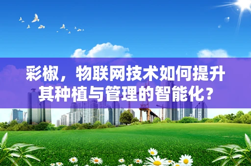 彩椒，物联网技术如何提升其种植与管理的智能化？