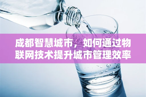 成都智慧城市，如何通过物联网技术提升城市管理效率？