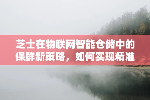 芝士在物联网智能仓储中的保鲜新策略，如何实现精准温控？