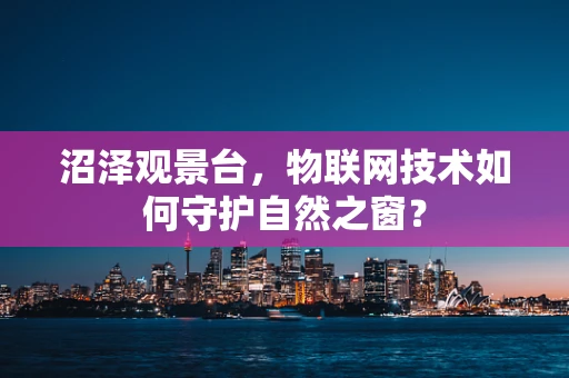 沼泽观景台，物联网技术如何守护自然之窗？