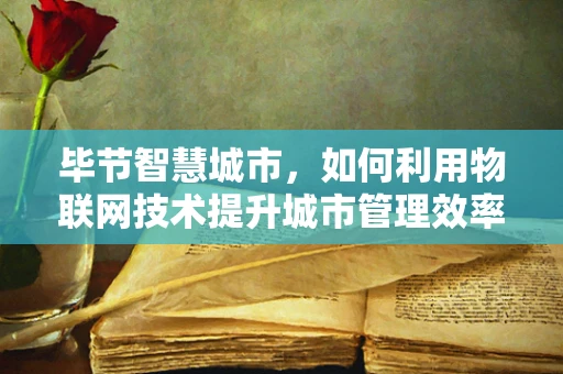 毕节智慧城市，如何利用物联网技术提升城市管理效率？