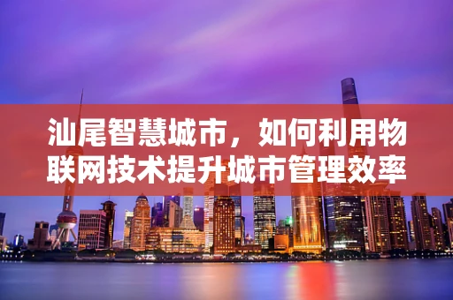 汕尾智慧城市，如何利用物联网技术提升城市管理效率？
