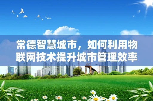 常德智慧城市，如何利用物联网技术提升城市管理效率？