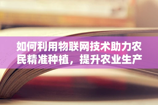 如何利用物联网技术助力农民精准种植，提升农业生产效率？
