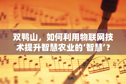 双鸭山，如何利用物联网技术提升智慧农业的‘智慧’？