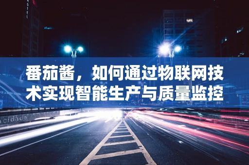 番茄酱，如何通过物联网技术实现智能生产与质量监控？