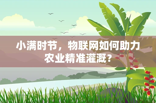 小满时节，物联网如何助力农业精准灌溉？