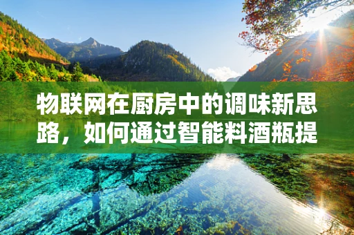 物联网在厨房中的调味新思路，如何通过智能料酒瓶提升烹饪体验？