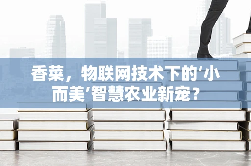 香菜，物联网技术下的‘小而美’智慧农业新宠？