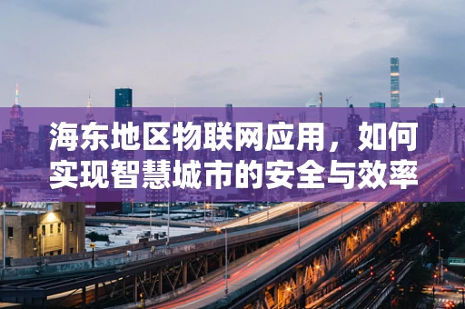海东地区物联网应用，如何实现智慧城市的安全与效率？