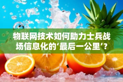 物联网技术如何助力士兵战场信息化的‘最后一公里’？