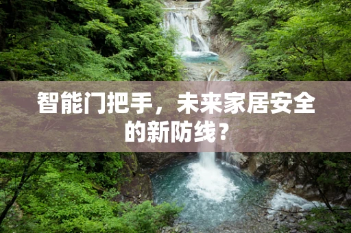 智能门把手，未来家居安全的新防线？