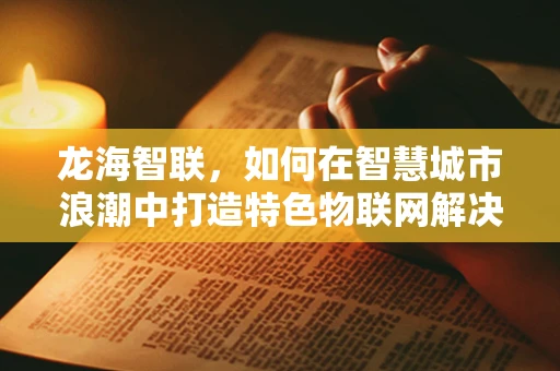 龙海智联，如何在智慧城市浪潮中打造特色物联网解决方案？