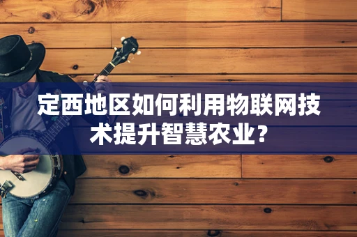 定西地区如何利用物联网技术提升智慧农业？