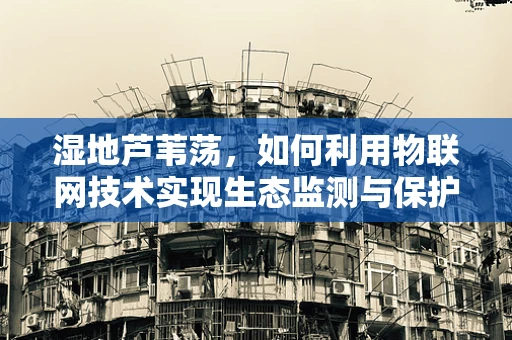 湿地芦苇荡，如何利用物联网技术实现生态监测与保护？