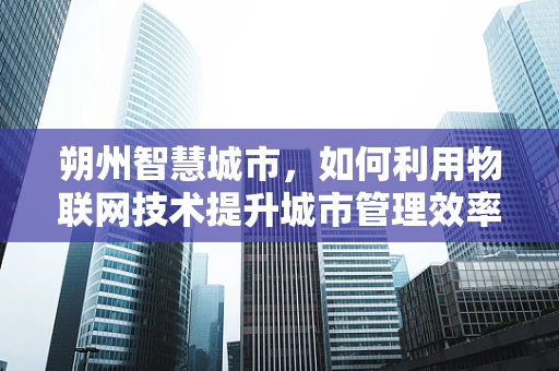 朔州智慧城市，如何利用物联网技术提升城市管理效率？