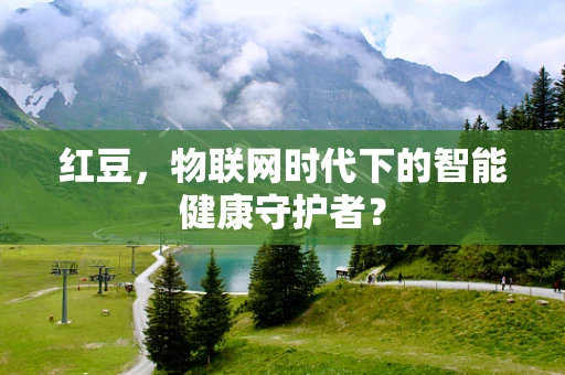 红豆，物联网时代下的智能健康守护者？