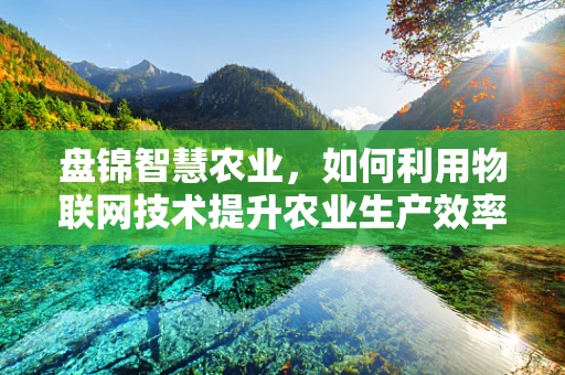 盘锦智慧农业，如何利用物联网技术提升农业生产效率？