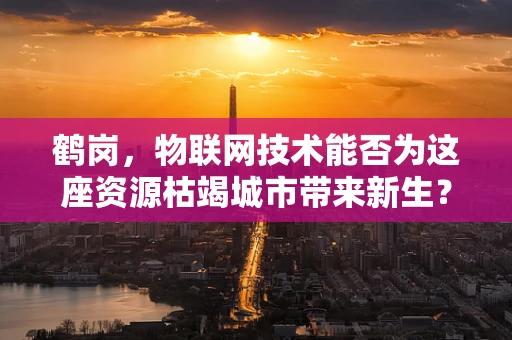 鹤岗，物联网技术能否为这座资源枯竭城市带来新生？
