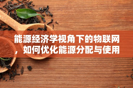 能源经济学视角下的物联网，如何优化能源分配与使用？