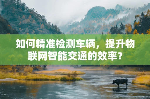 如何精准检测车辆，提升物联网智能交通的效率？