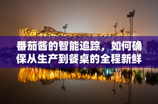 番茄酱的智能追踪，如何确保从生产到餐桌的全程新鲜？