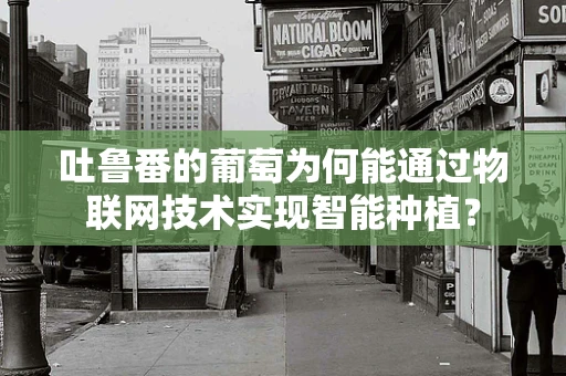 吐鲁番的葡萄为何能通过物联网技术实现智能种植？