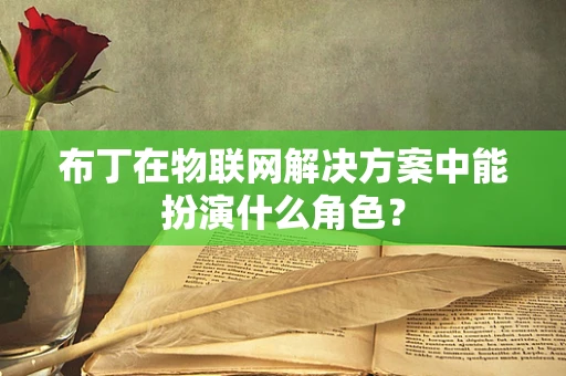 布丁在物联网解决方案中能扮演什么角色？