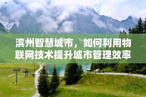 滨州智慧城市，如何利用物联网技术提升城市管理效率？