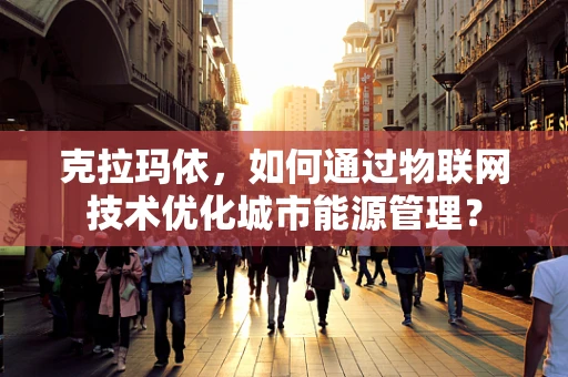 克拉玛依，如何通过物联网技术优化城市能源管理？