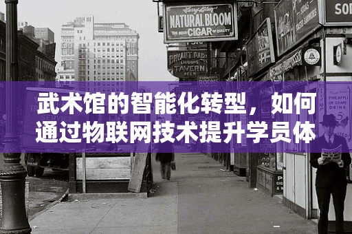 武术馆的智能化转型，如何通过物联网技术提升学员体验与运营效率？