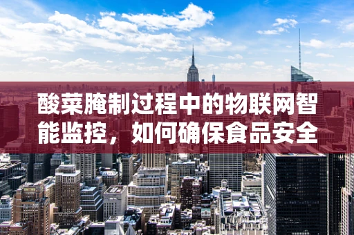 酸菜腌制过程中的物联网智能监控，如何确保食品安全与品质？