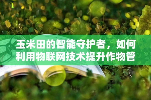 玉米田的智能守护者，如何利用物联网技术提升作物管理效率？