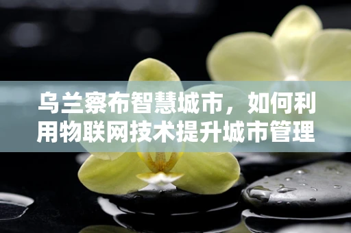 乌兰察布智慧城市，如何利用物联网技术提升城市管理效率？