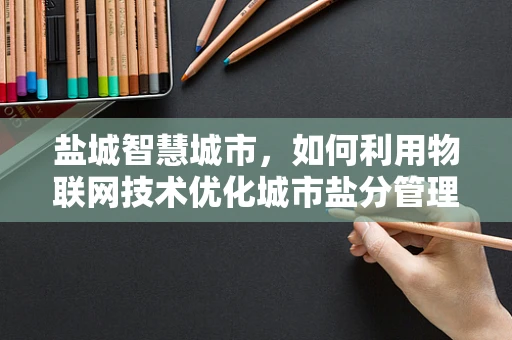 盐城智慧城市，如何利用物联网技术优化城市盐分管理？