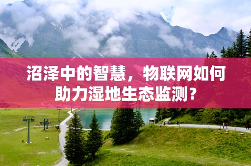 沼泽中的智慧，物联网如何助力湿地生态监测？