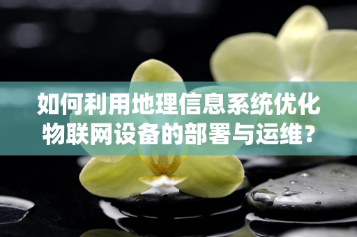 如何利用地理信息系统优化物联网设备的部署与运维？