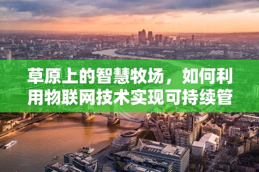 草原上的智慧牧场，如何利用物联网技术实现可持续管理？