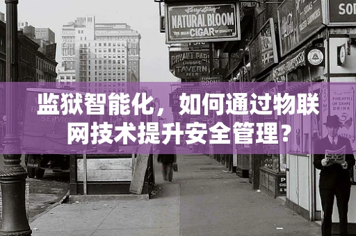 监狱智能化，如何通过物联网技术提升安全管理？