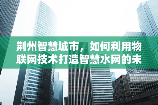 荆州智慧城市，如何利用物联网技术打造智慧水网的未来？