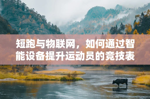 短跑与物联网，如何通过智能设备提升运动员的竞技表现？