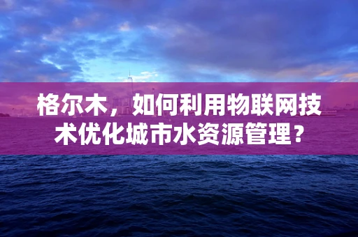格尔木，如何利用物联网技术优化城市水资源管理？