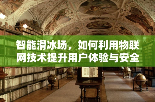 智能滑冰场，如何利用物联网技术提升用户体验与安全？